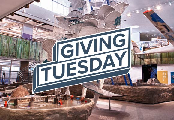 Giving Tuesday 2019