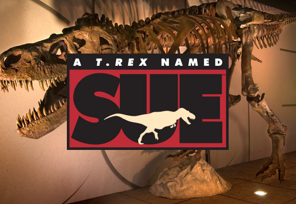 sue t rex discovery