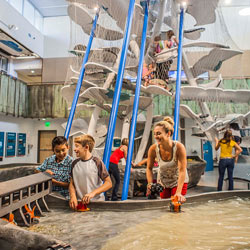 Hours, admission prices and location | The Discovery