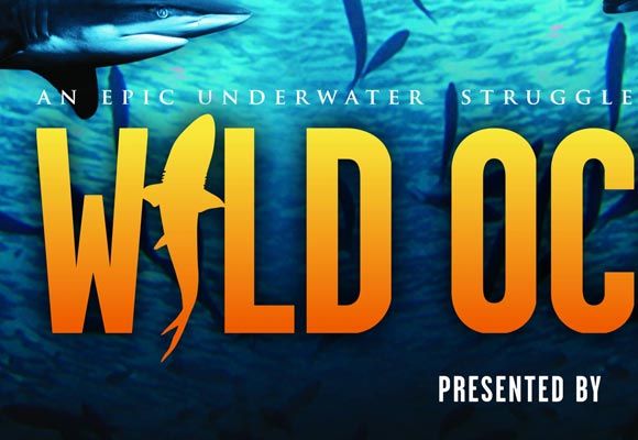 Wild Ocean Movie