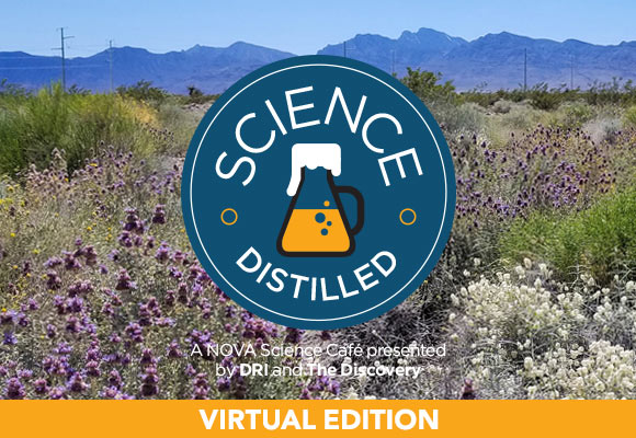 Science Distilled: Protecting the desert