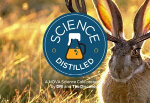 Science Distilled: Weird, Wild Creatures