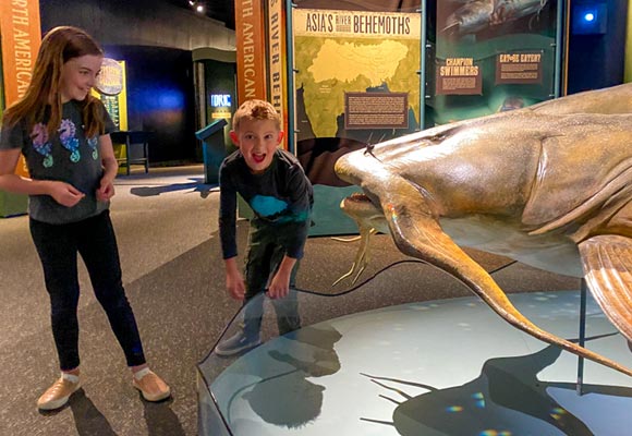 Monster Fish: In Search of the Last River Giants at The Discovery in Reno, NV