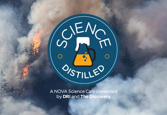 Science Distilled: Story of Fire