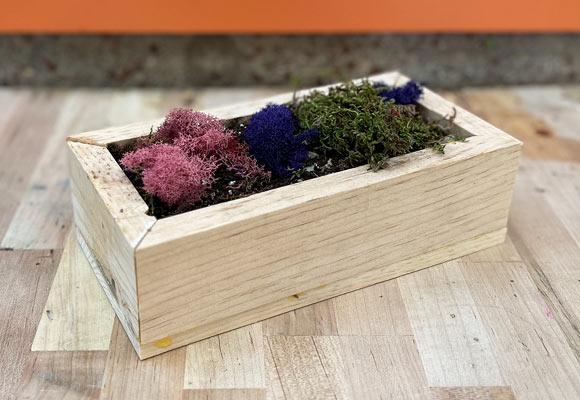 Do-it-Yourself Garden Box