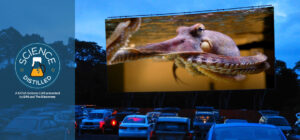 Science Distilled: Drive-in for Science