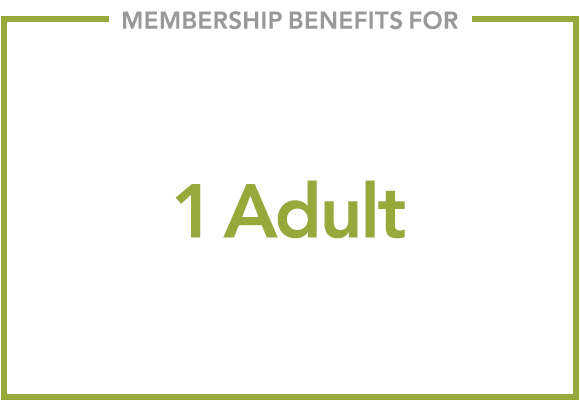 Individual Membership Level