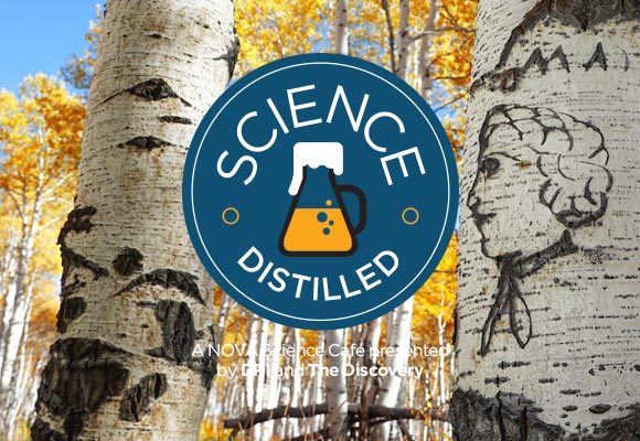 Science Distilled: The Story of Nevada