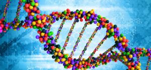 Hands-on DNA Lab at The Discovery in downtown Reno, Nevada