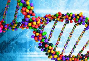 Hands-on DNA Lab at The Discovery in downtown Reno, Nevada