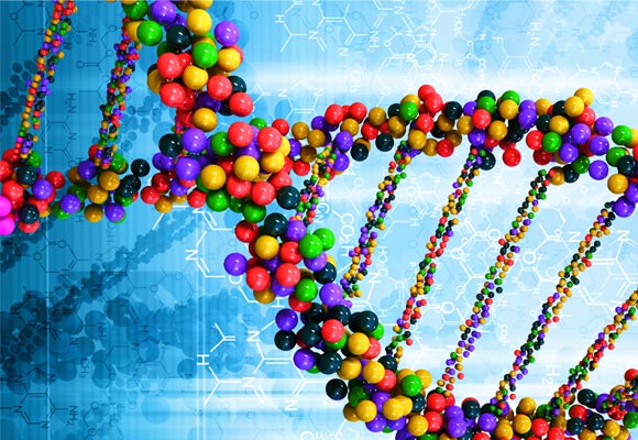 Hands-on DNA Lab at The Discovery in downtown Reno, Nevada