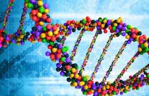 Hands-on DNA Lab at The Discovery in downtown Reno, Nevada