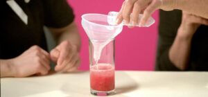 STEM Lab: Strawberry DNA