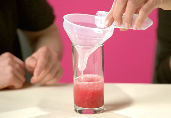 STEM Lab: Strawberry DNA