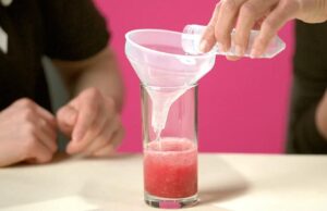 STEM Lab: Strawberry DNA