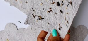 Do-it-Yourself Seed Paper
