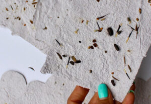 Do-it-Yourself Seed Paper