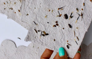 Do-it-Yourself Seed Paper