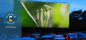 Science Distilled: Drive-in for Science 9-13-25