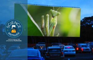 Science Distilled: Drive-in for Science 9-13-25