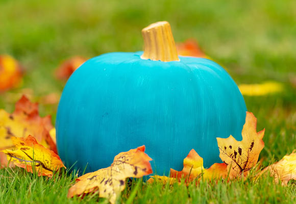 Teal Pumpkin Project