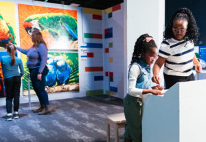 Brick Masters Studio exhibition at The Discovery in Reno, Nevada