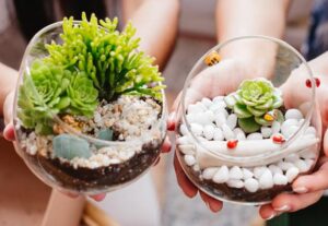 STEM Lab: Tiny Terrariums